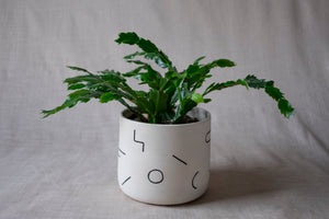 Kafka planter